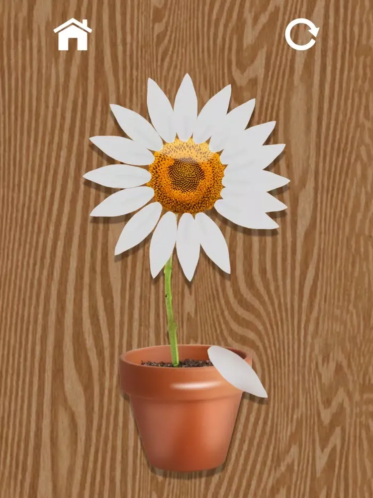 Antistress Fidget Toys poppet iPad  Screenshots