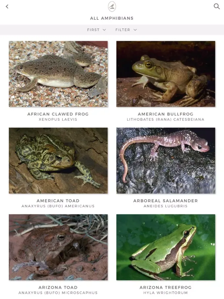 Fieldstone Guide: Amphibians iPad  سکرین شاٹس