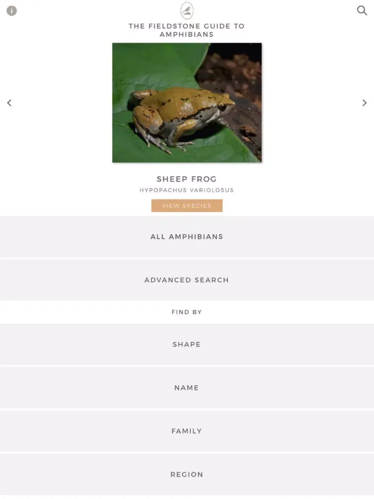Fieldstone Guide: Amphibians iPad  سکرین شاٹس