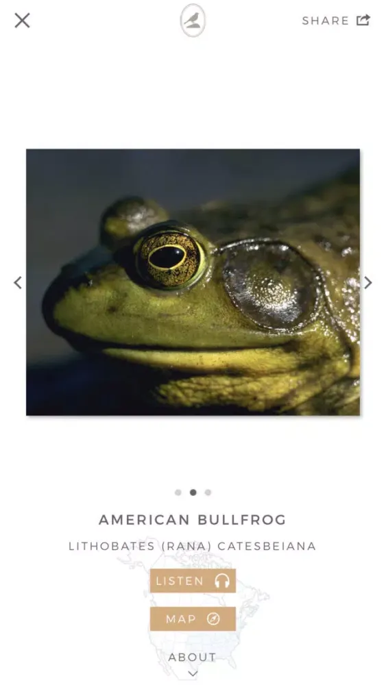 Fieldstone Guide: Amphibians سکرین شاٹس