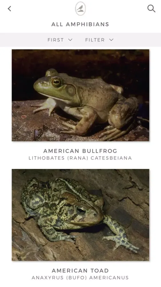 Fieldstone Guide: Amphibians سکرین شاٹس