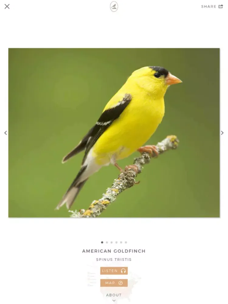 Tangkapan skrin Fieldstone Guide: Birds iPad 
