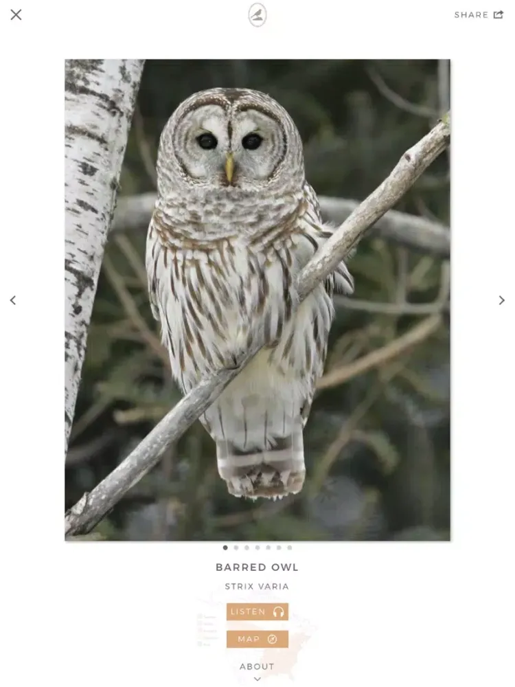 Tangkapan skrin Fieldstone Guide: Birds iPad 
