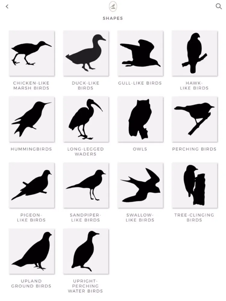 Tangkapan skrin Fieldstone Guide: Birds iPad 