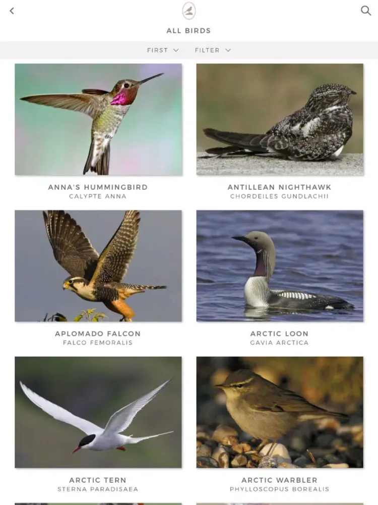 Tangkapan skrin Fieldstone Guide: Birds iPad 