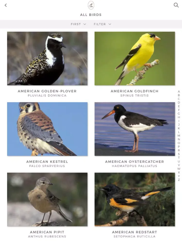 Tangkapan skrin Fieldstone Guide: Birds iPad 