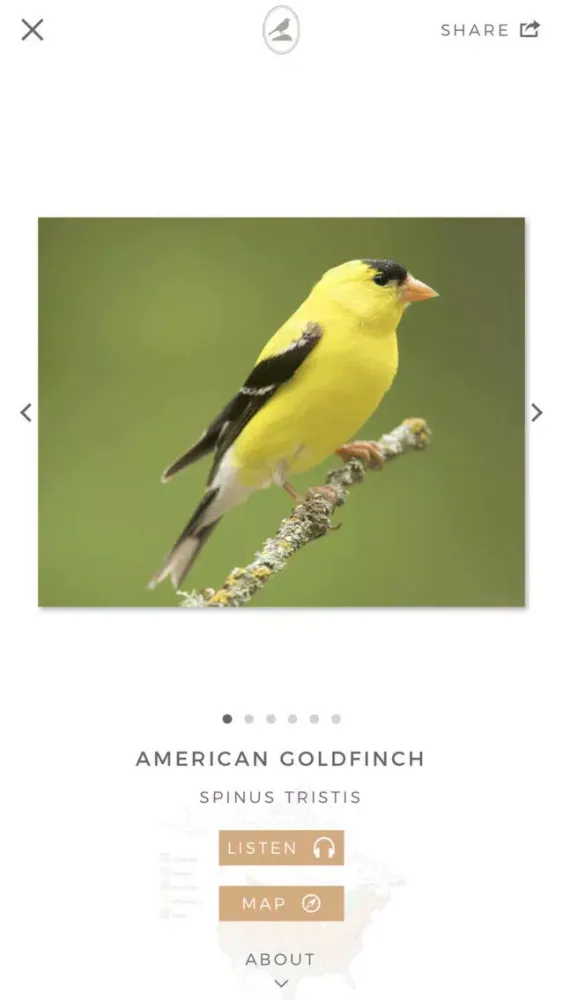 Tangkapan skrin Fieldstone Guide: Birds