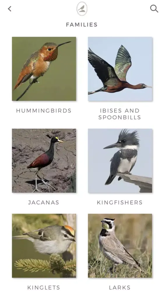 Tangkapan skrin Fieldstone Guide: Birds