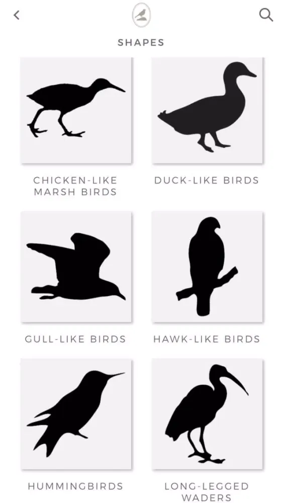 Tangkapan skrin Fieldstone Guide: Birds