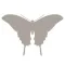 Fieldstone Guide: Butterflies