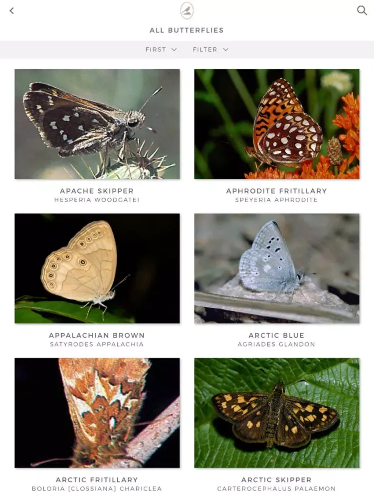 Fieldstone Guide: Butterflies iPad  স্ক্রিনশট