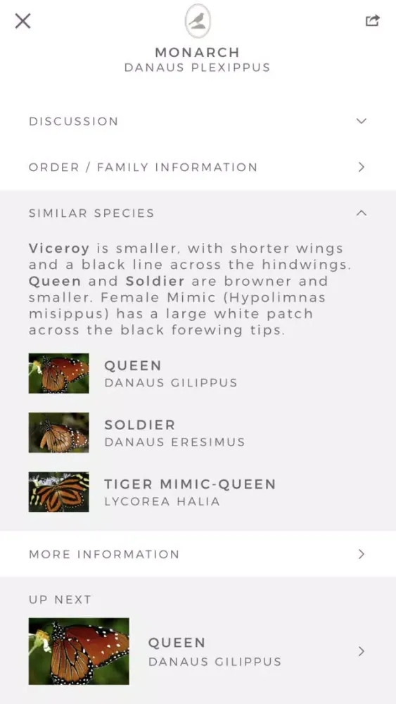 Fieldstone Guide: Butterflies স্ক্রিনশট