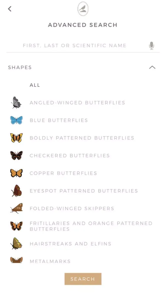 Fieldstone Guide: Butterflies স্ক্রিনশট