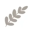 Fieldstone Guide: Herbs