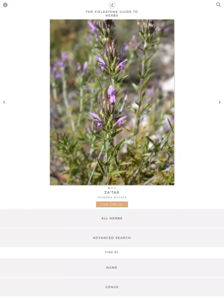 صور Fieldstone Guide: Herbs iPad 