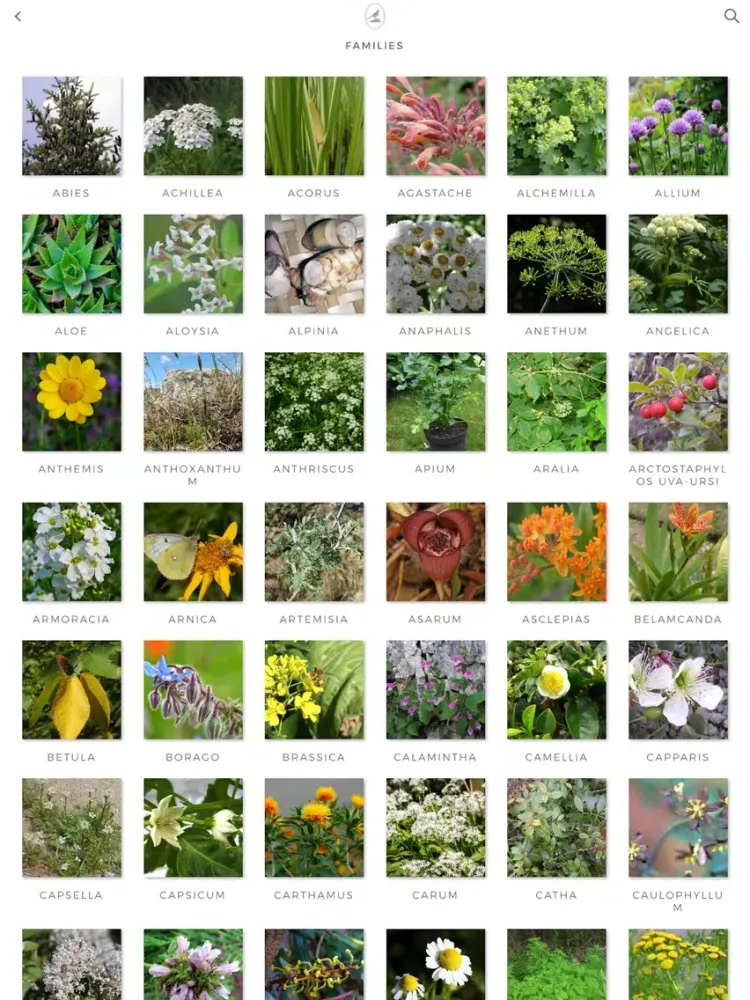 صور Fieldstone Guide: Herbs iPad 