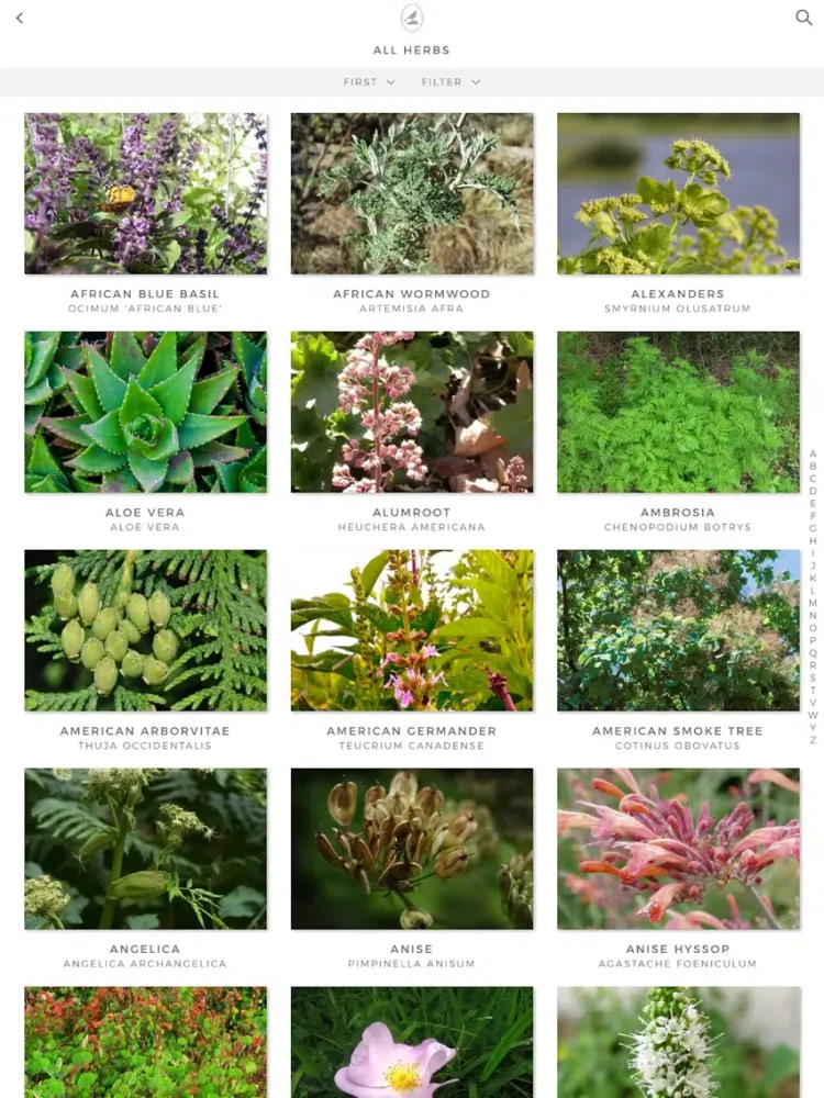 صور Fieldstone Guide: Herbs iPad 