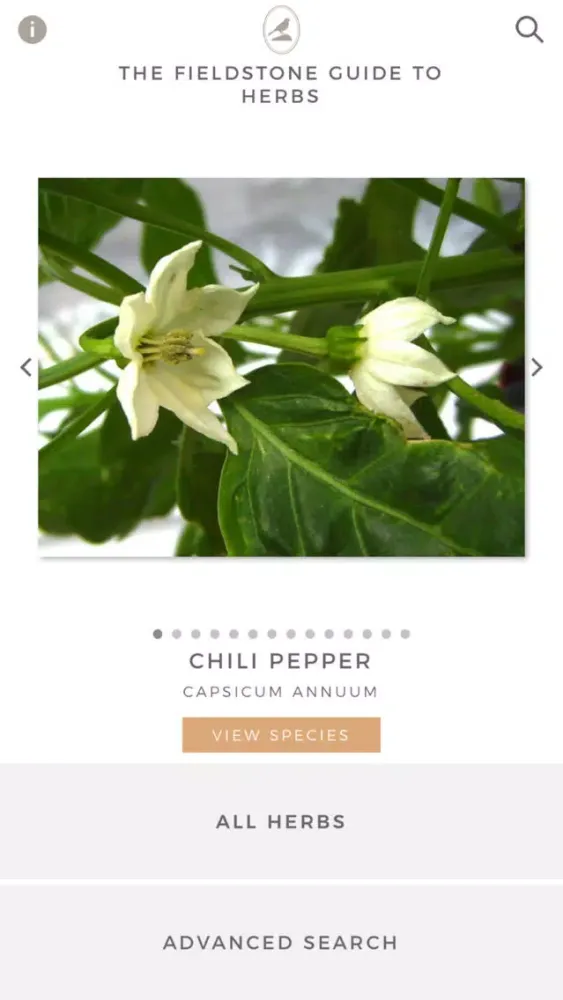 صور Fieldstone Guide: Herbs