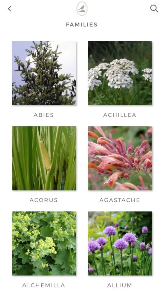 صور Fieldstone Guide: Herbs