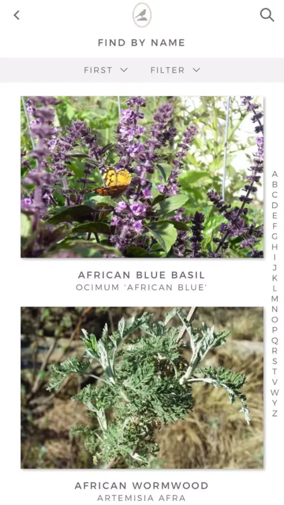 صور Fieldstone Guide: Herbs