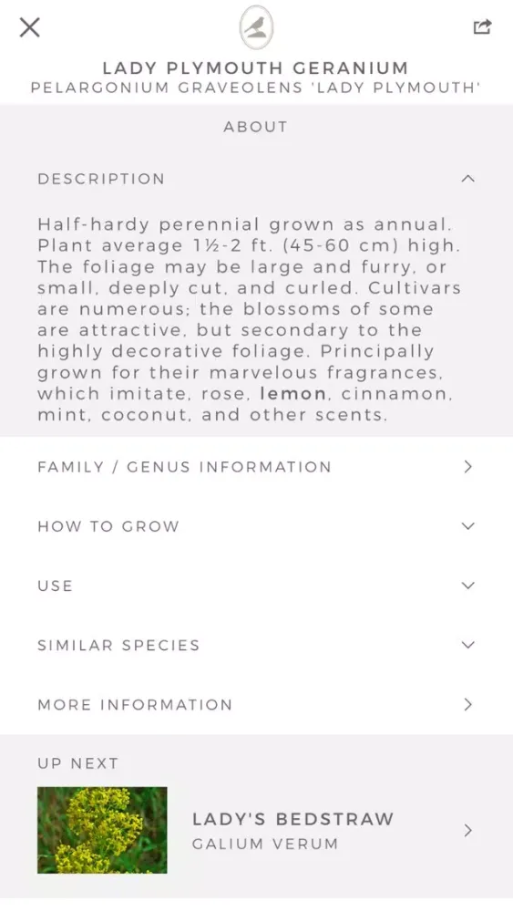 صور Fieldstone Guide: Herbs