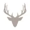 Fieldstone Guide: Mammals