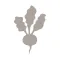 Fieldstone Guide: Vegetables