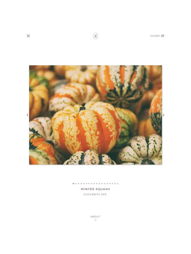 Capturas de tela do Fieldstone Guide: Vegetables iPad 