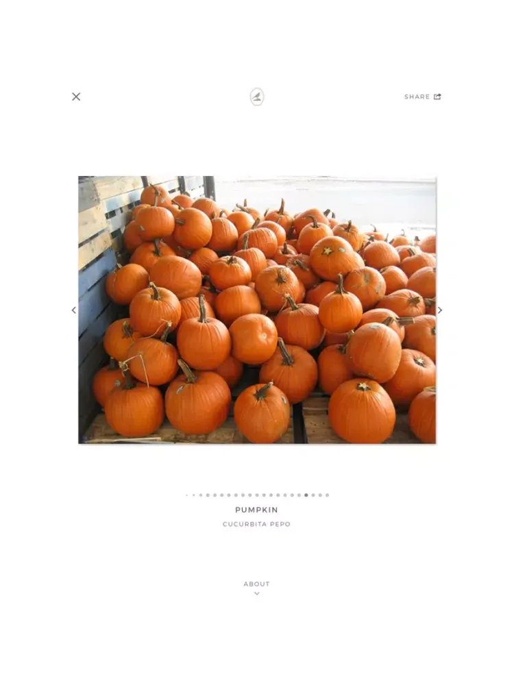 Capturas de tela do Fieldstone Guide: Vegetables iPad 
