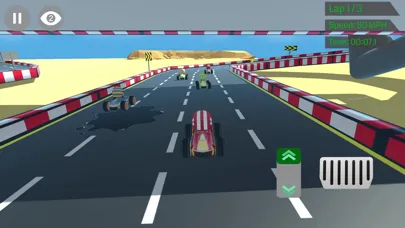 Capturas de pantalla de Mini Speedy Racers