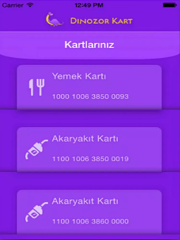 Zrzuty ekranu DinozorKart Mobil iPad 
