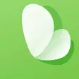 Butterfly - Social Marketing Butterfly - Social Marketing