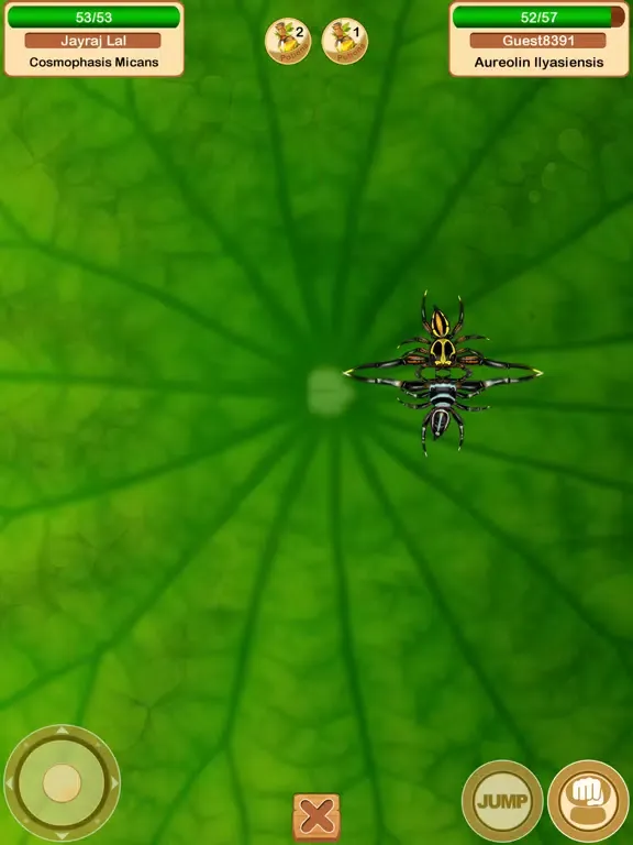 Fighting Spiders iPad 应用截图