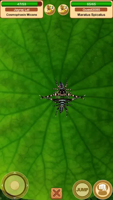 Fighting Spiders应用截图