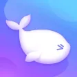 Figoo Figoo