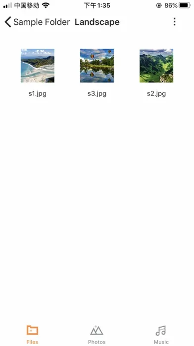 Zrzuty ekranu The FileTransfer