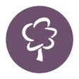 GraceTBC