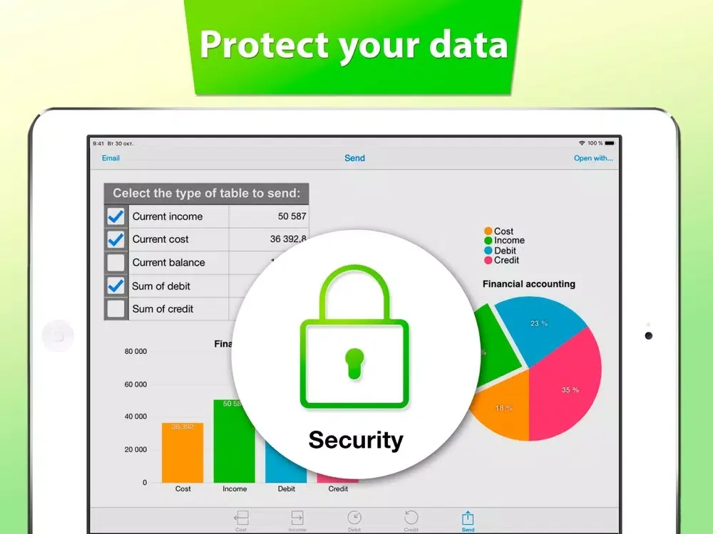 Zrzuty ekranu Financial Accounting Pro iPad 