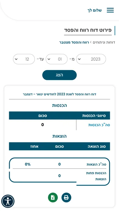 ציון לוי רואה - CPA- ZL Screenshots