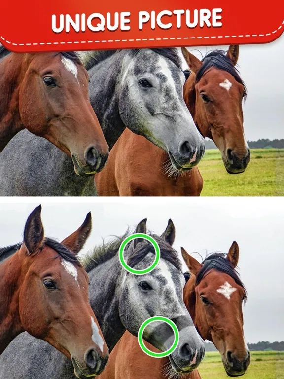 Скриншоты Find Differences: Spot It iPad 