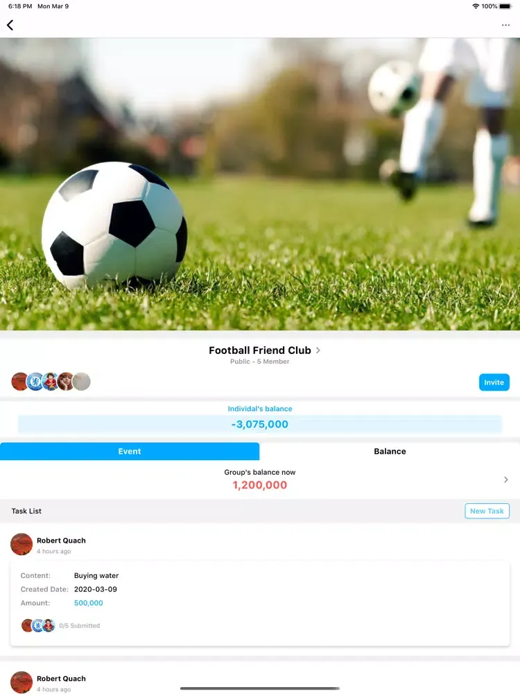 ภาพหน้าจอของ Sport Team Expenditure Control iPad 