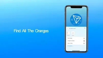 تصاویر Find All the Oranges
