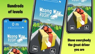 Tangkapan skrin Wrong Way RUSH!
