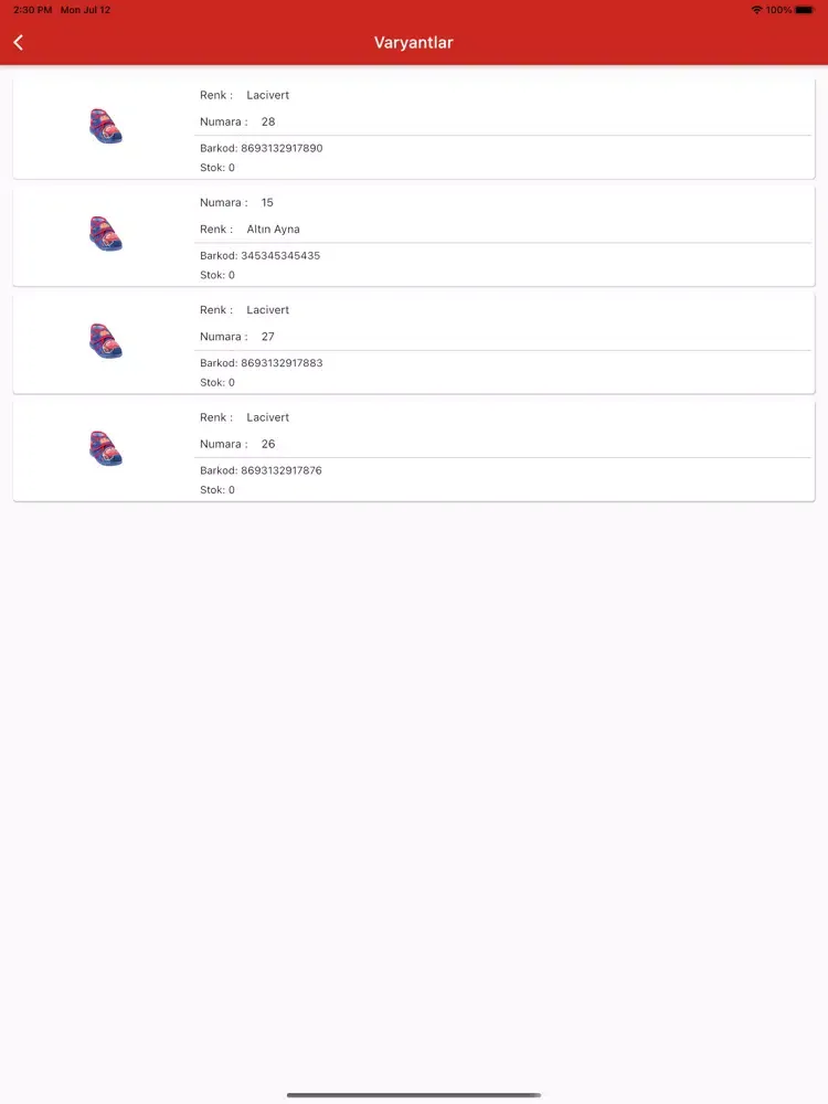 Tangkapan layar Hesap Co iPad 