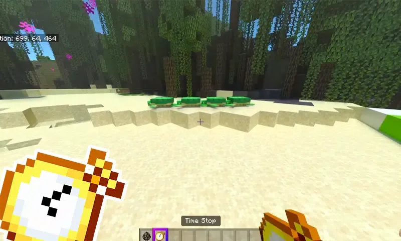 Time Stop Mod MCPE Screenshots