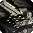 Cool Firearms Bullet Theme