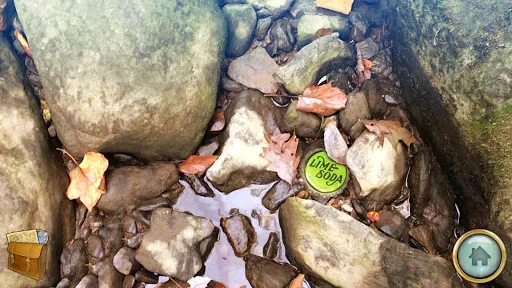 تصاویر Thickety Creek