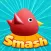 Cool Birds Game - Fun Smash