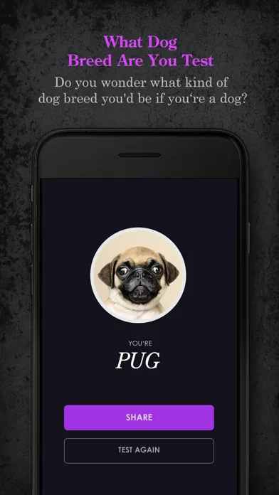 Capturas de pantalla de Animal, Hidden Power, Dog Test