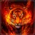 Fire Tiger Wallpaper